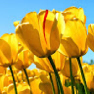 Meet your Posher, Leigh